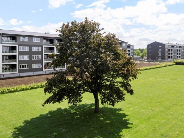 3.5 værelses lejlighed på 82 m²