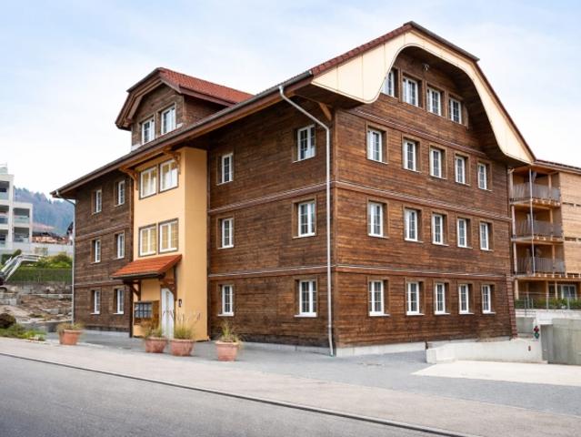3.5 Zimmer Neubau mit Terrasse energieeffizient in Grossdietwil