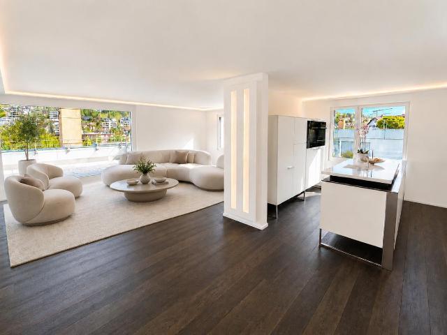 3.5 Zimmer Attikawohnung