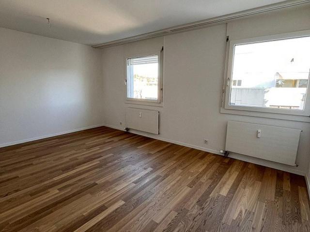 3.5 Zimmer Attikawohnung