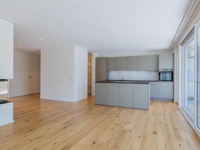 3.5 Zimmer Attikawohnung fast wie im Eigenheim
