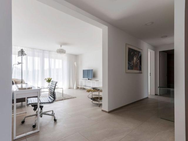 3.5 Zimmer Apartment