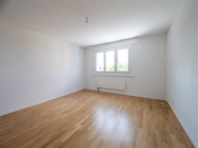 3.5 Zimmer, EG