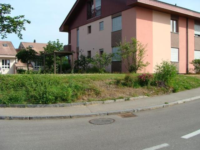 3.5 Zimmer Wohnung