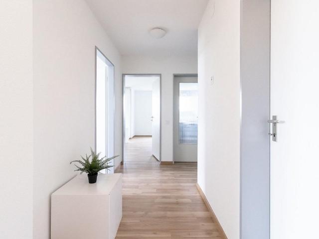 3.5 Zimmer Wohnung