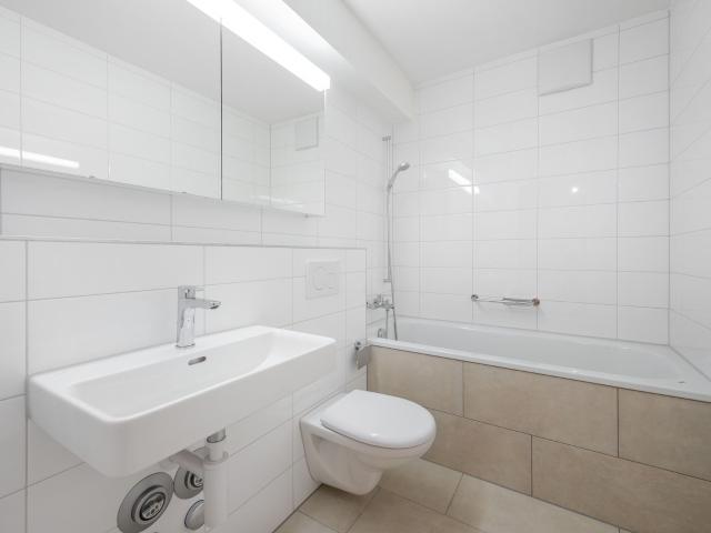 3.5 Zimmer Wohnung in Allschwil | dreamo. Ch