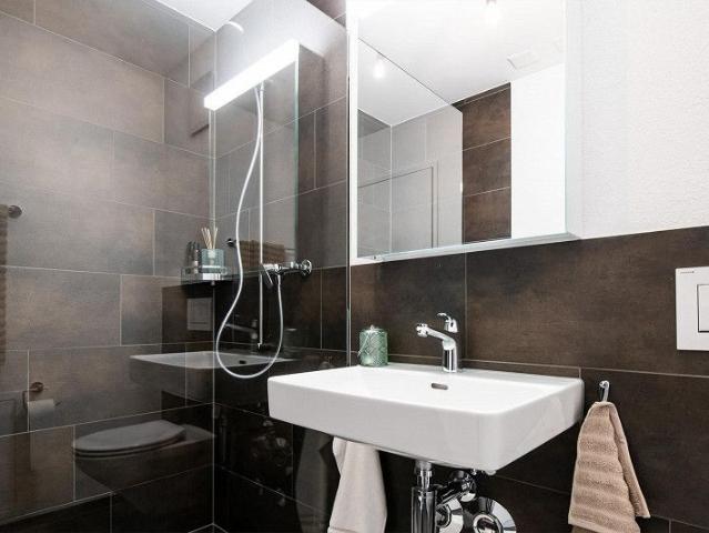 3.5 Zimmer Wohnung in Neuhausen am Rheinfall!