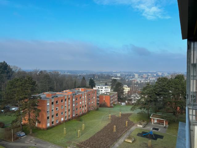 3.5 Zimmer Wohnung mit herrlicher Aussicht in Binningen