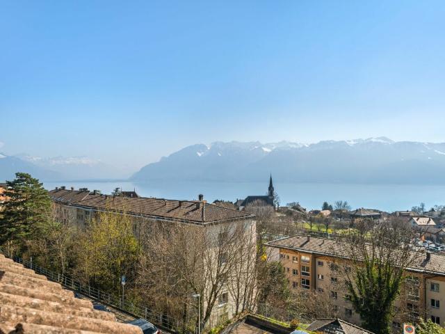 3,5 Zimmer Wohnung mit Panoramablick auf See und Berge
