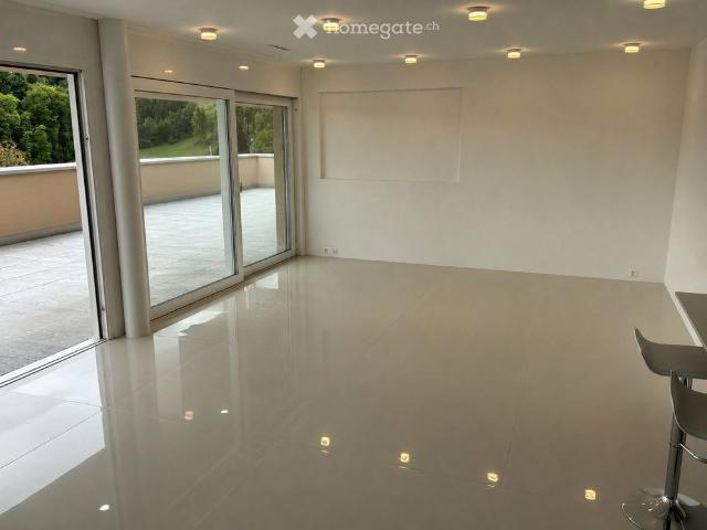 3.5 Zimmer, 100 m²