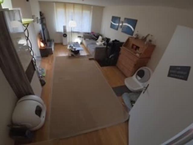 3.5 Zimmer, 100 m², 2. Stock