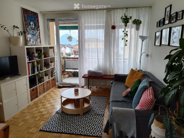 3.5 Zimmer, 54 m²
