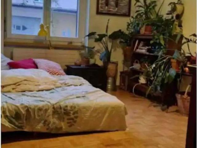3.5 Zimmer, 65 m², EG