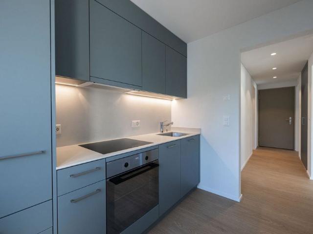 3.5 Zimmer, 66 m²