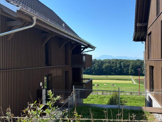 3.5 Zimmer, 74 m², EG