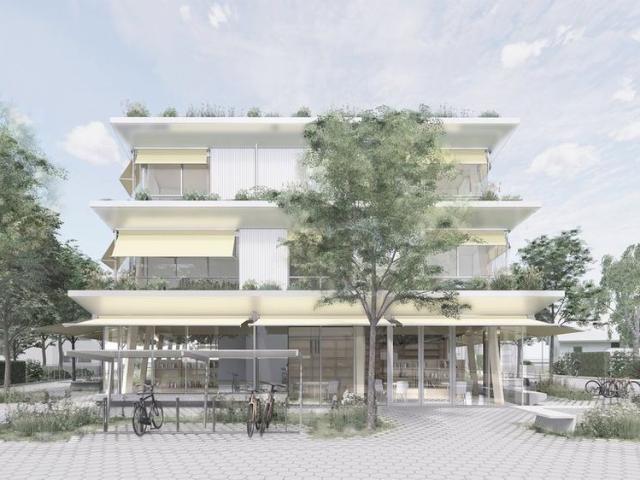3.5 Zimmer, 79 m², 2. Stock