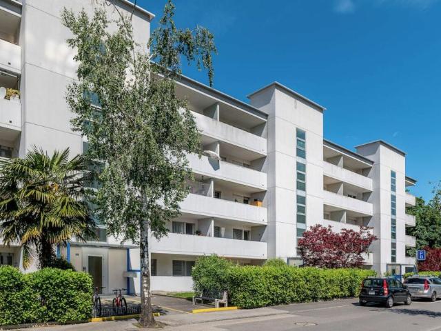 3.5 Zimmer, 71 m², EG