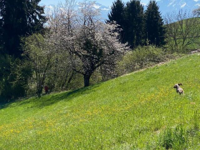 3.5 Zimmer, 85 m², EG