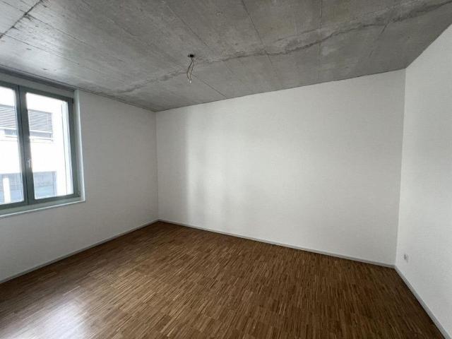 3.5 Zimmer, 86 m², EG