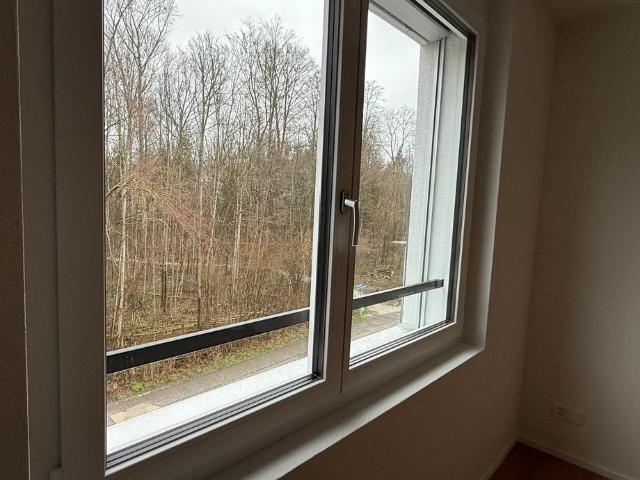 3.5 Zimmer, 89 m², 2. Stock
