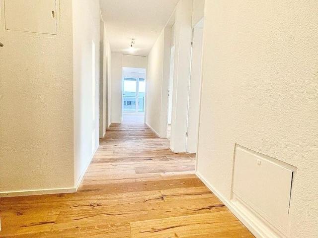 3.5 Zimmer, 80 m²