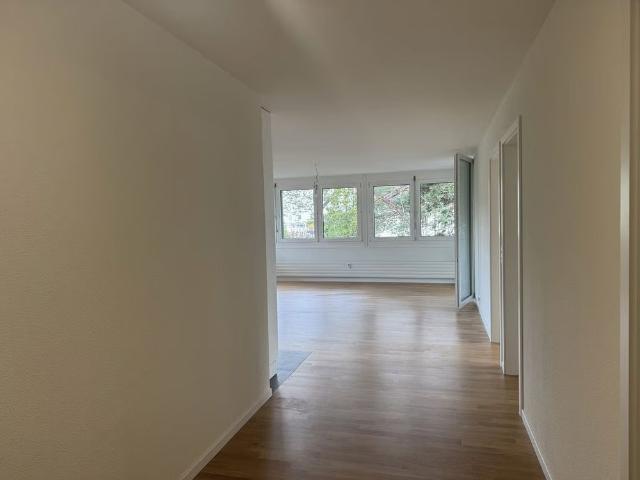 3.5 Zimmer, 81 m², EG