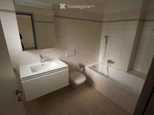 3.5 Zimmer, 95 m²