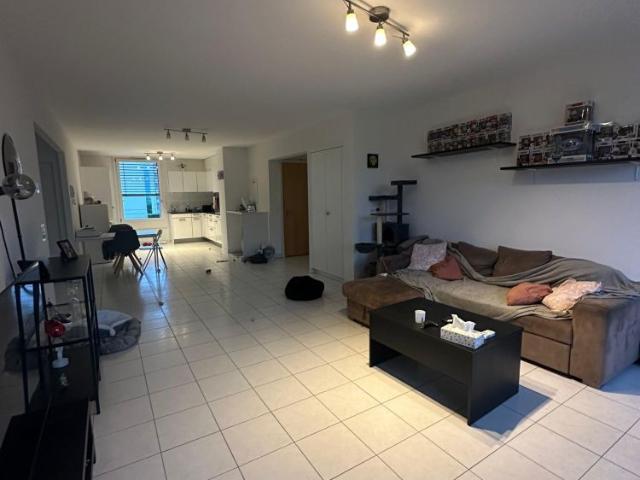 3.5 Zimmer, 90 m²