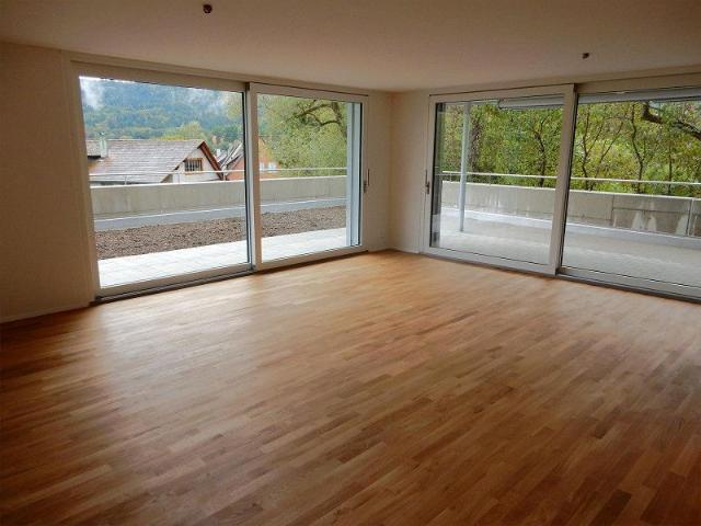 3.5 Zimmerwohnung in Schaffhausen