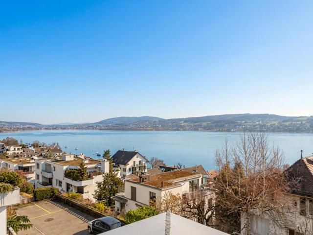 3.5 Zwg Terrassenwohnung Ihre Traumaussicht in Kilchberg