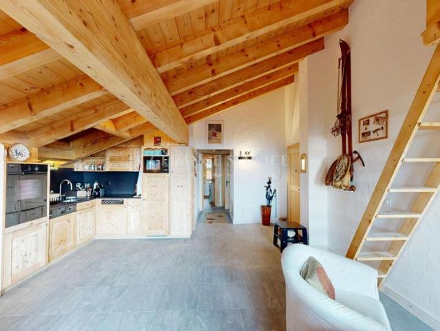 3.5P Daphné 31B Summer season rental