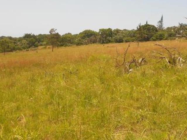 3 655 m² Land available in Palm Beach