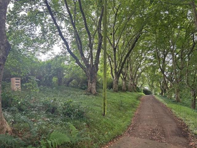 3 658 m² Land available in Winterskloof