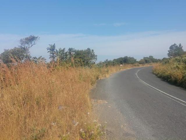 3 674 m² Land available in Palm Beach