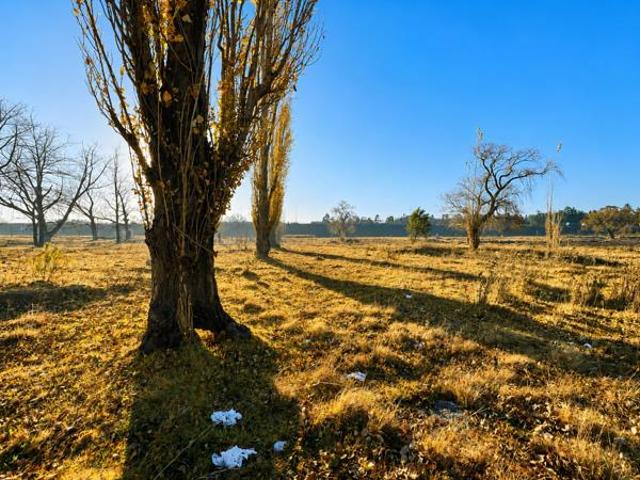 3.6 ha Land available in Bethal