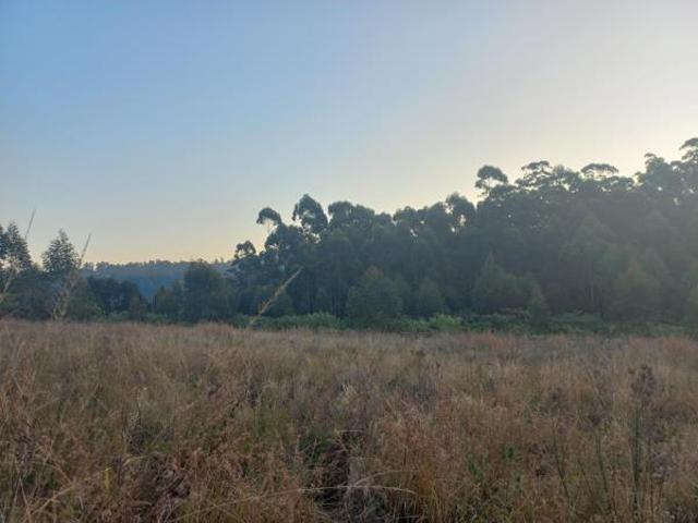3.6 ha Land available in Worlds View