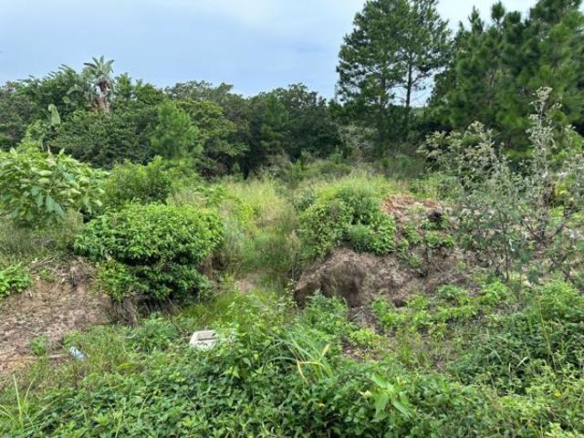 3 740 m² Land available in Palm Beach