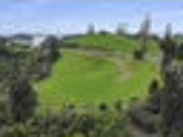 3.8 ha elevated site and native bush