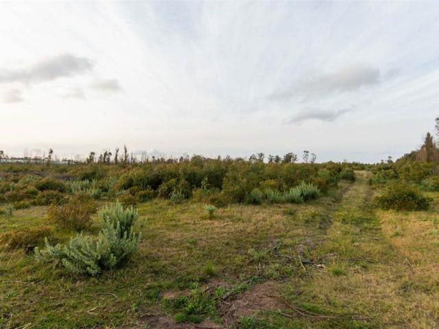 3.8 ha Land available in Greenbushes