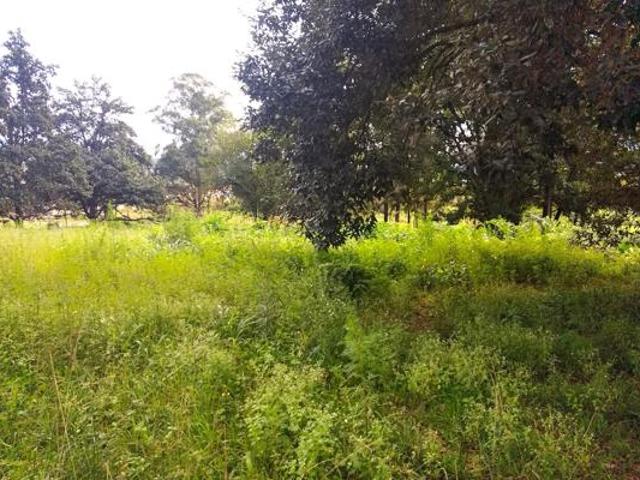 3.8 ha Land available in Sabie