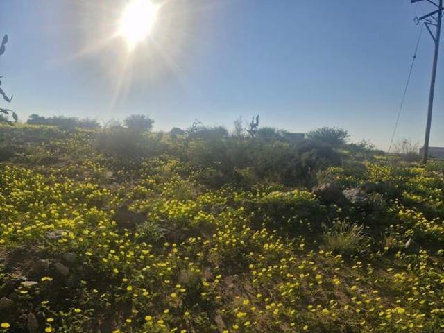 3 940 m² Land available in Upington Central