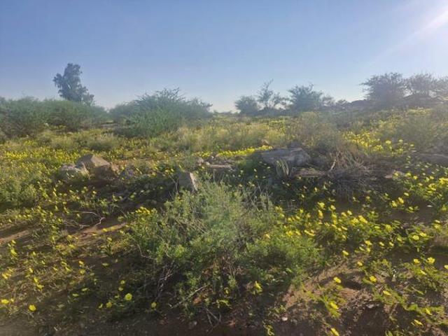 3 951 m² Land available in Upington Central