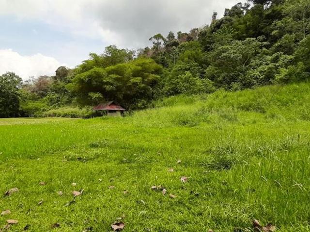 3.97 Ekar Janda baik berhampiran sungai yang bersih. Bentong Pahang