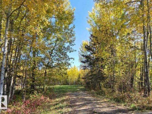 3 9002 Hwy 16, Rural Yellowhead, AB, T0E 2M0 vacant land for sale | Listing ID E4484 | Royal LePage