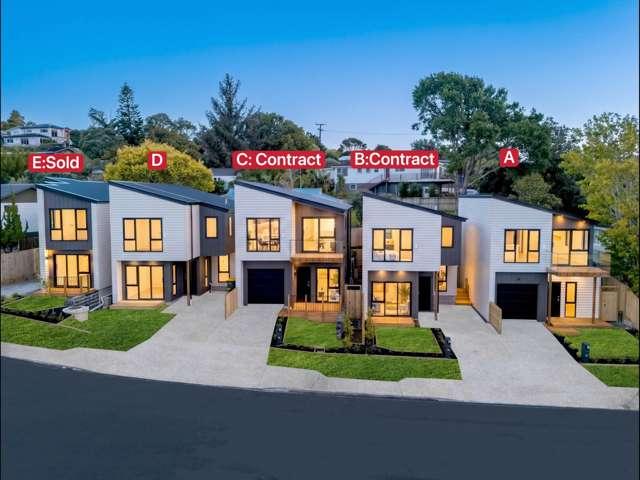 3D Terra Nova Street, Glen Eden, Waitakere City