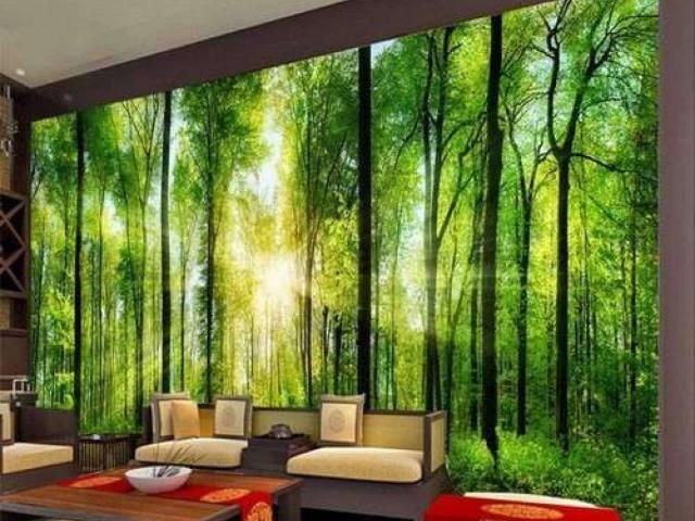3D Panaflex Room Wallpaper Hyderabad ID 29707