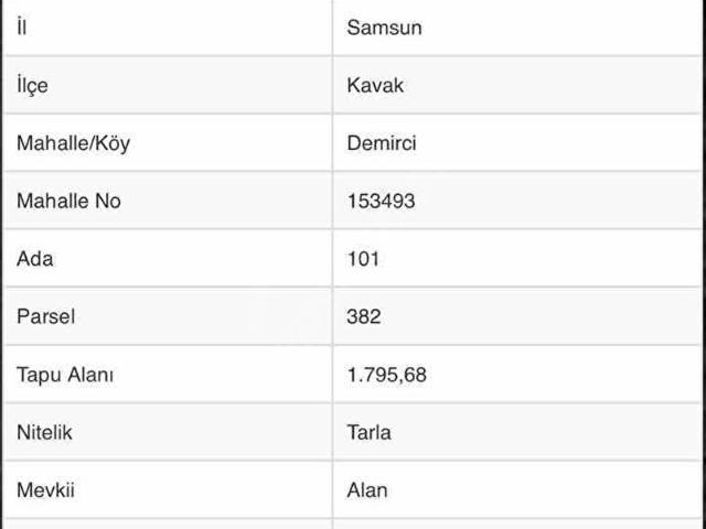 3S GAYRİMENKUL'DEN KAVAK DEMİRCİ MAH. SATILIK TARLA
