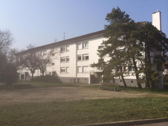 T3