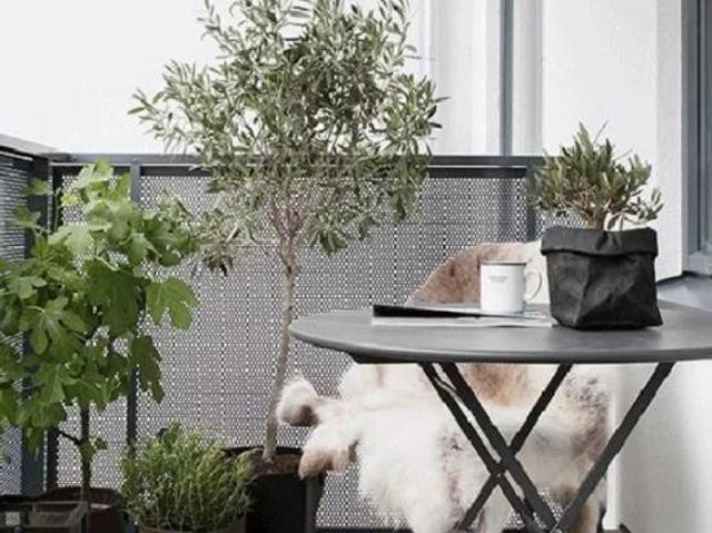 T3 avec balcon LIVRAISON 2027