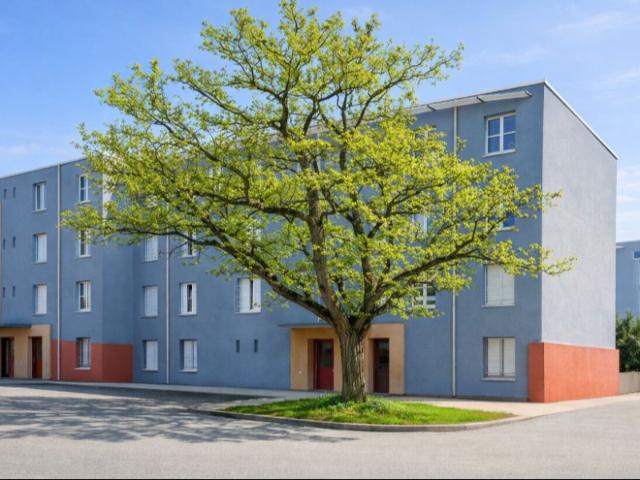 T3 Broquetons Montfavet